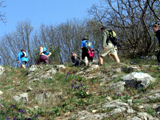 Remeteszurdok szikli